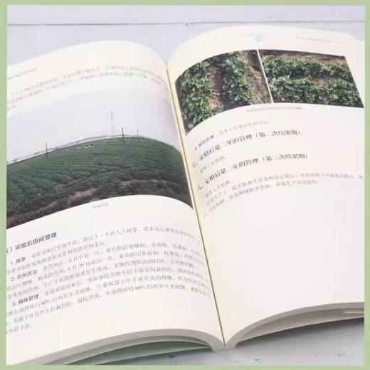 图解草莓高效栽培与病虫害防治 【官方正版，可开发票，下单时留开票信息和电子邮箱】 商品图1