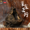 “饕餮巨鳄” 青铜大鳄 摆件模型龟主题周边 磁吸拆分 ★rlyl x 白昼 联名 官方正版【48小时发货】 商品缩略图1