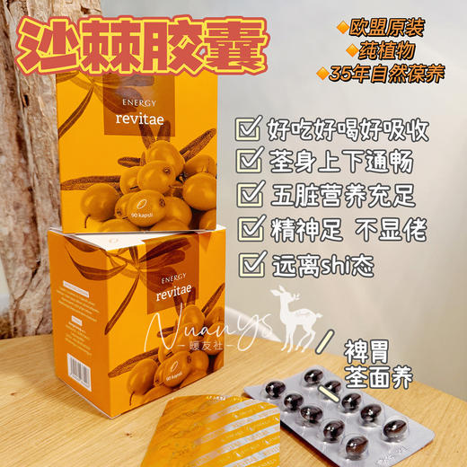 【化食不好 胃口不好 精神不振 压力大】沙棘胶囊90粒 捷克 Energy安能聚 商品图1