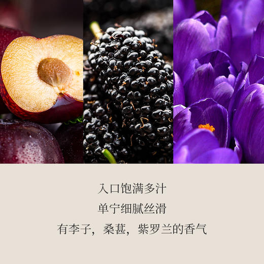 西鸽N50干红葡萄酒 （熊猫定制款） 商品图7