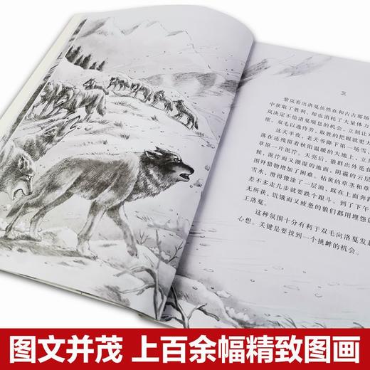 狼王梦（5册） 商品图3