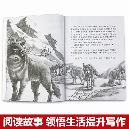 狼王梦（5册） 商品图1