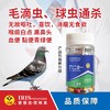 【毛球二合一】胶囊60粒，毛滴虫球虫二合一（爱丽丝） 商品缩略图0