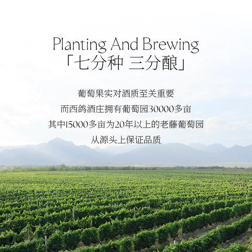 西鸽N50干红葡萄酒 （熊猫定制款） 商品图2