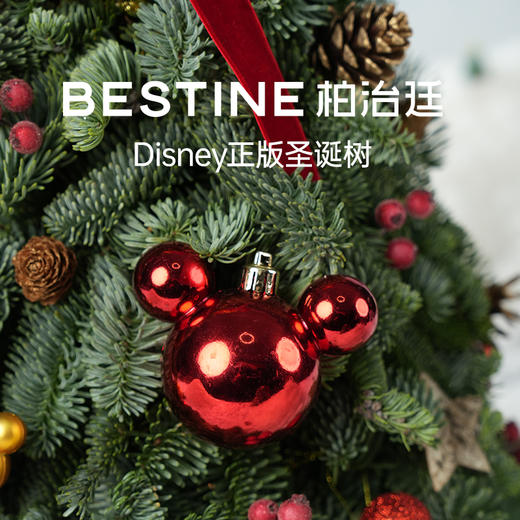 VBEINGS花语 圣诞礼物迪士尼进口诺贝松圣诞树鲜活松枝家居摆件 商品图2