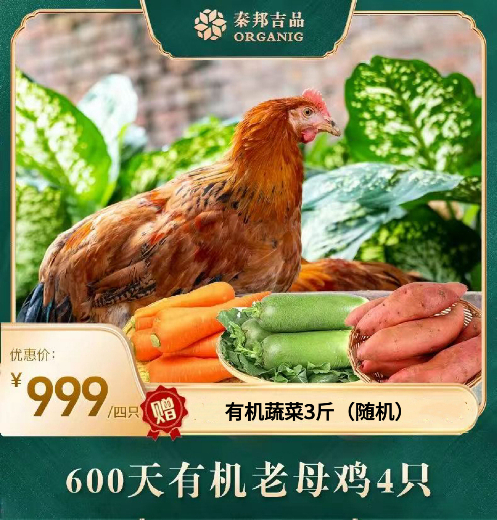 一九一只鸡秦邦吉品600天有机老母鸡