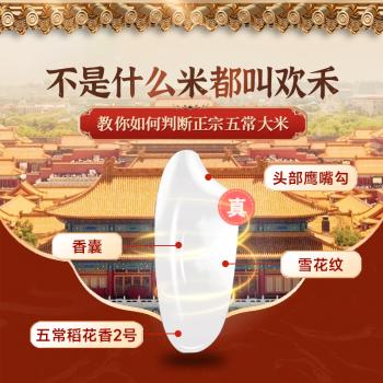 欢禾（HUANHE）特等五常大米10斤 稻花香2号 当季新米 (东北大米十斤) /粮油调味 /米 /稻花香米 商品图4