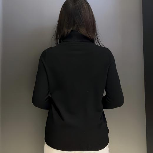 Z高领打底衫 冬季 190134001022 商品图1