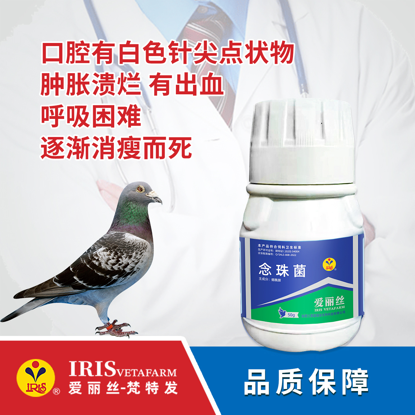 【爱丽丝】念珠菌50克