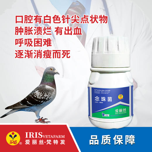 【爱丽丝】念珠菌50克 商品图0