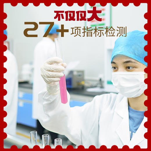 【春节送礼】新疆大坚果礼盒 1932g/盒 疆果果 商品图4