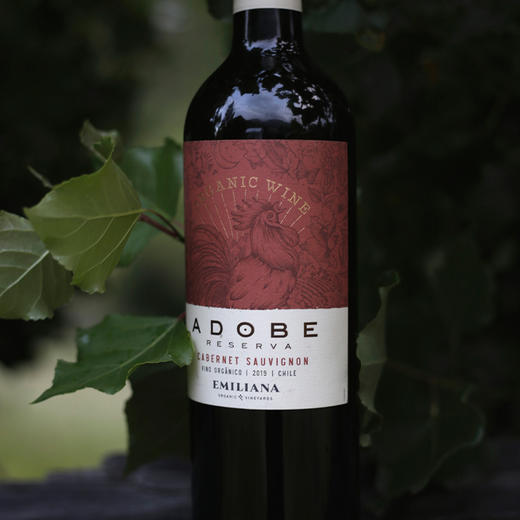 肆玖智利阿多比珍藏赤霞珠干红葡萄酒750ML*2（带皮盒）【LXGWCJ3.0】 商品图3