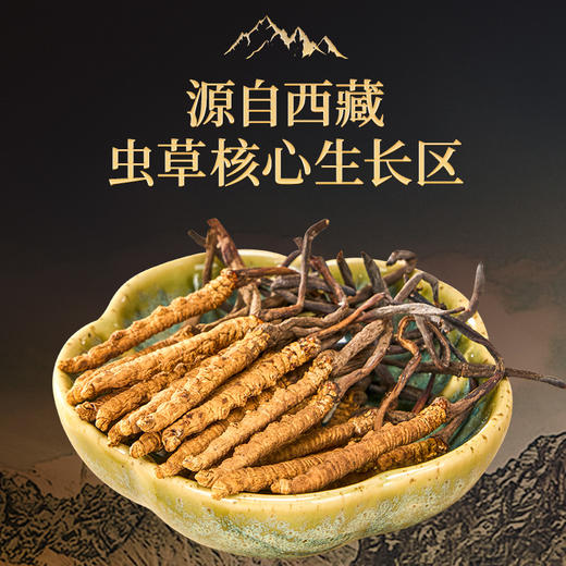 雷允上西藏甲级冬虫夏草10g/盒（-40） 商品图4