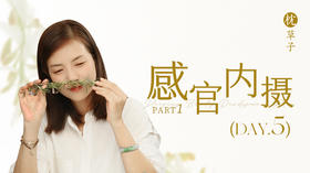 第五天：感官内摄part1