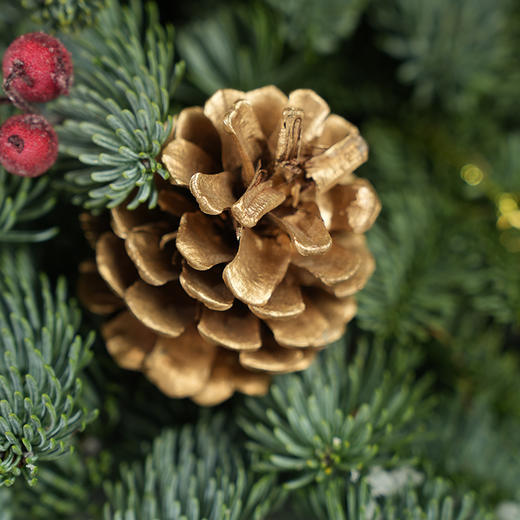 VBEINGS花语 圣诞礼物迪士尼进口诺贝松圣诞树鲜活松枝家居摆件 商品图5