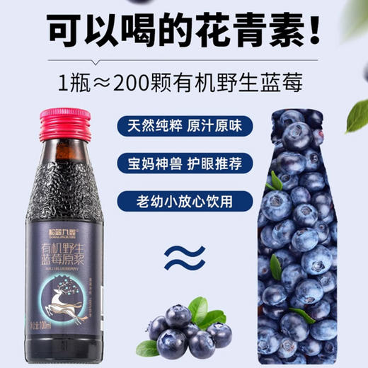 小兴安岭 NFC 有机野生蓝莓原浆 蔓越莓原浆 花青素宝库，开启健康活力新密码 商品图2