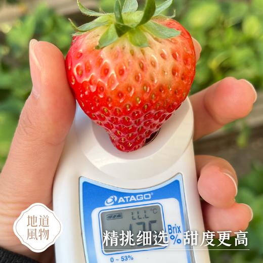 辽宁丹东  红颜九九草莓  多规格任选 商品图3