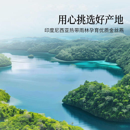 【正宗同仁堂品牌】北京同仁堂 造养青年 传统滋补 印尼白燕盏（银标款）-50克 滋补礼品 好产地 好原料  SY 商品图5