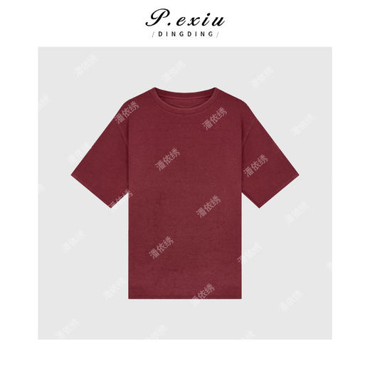 A008潘依绣丁丁宠粉PanYiXiu/潘依绣肌理感加厚磨绒舒适百搭秋冬短袖T恤 W-62609 商品图1