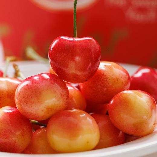 智利空运 skylar rae 天空之城    金车 商品图1