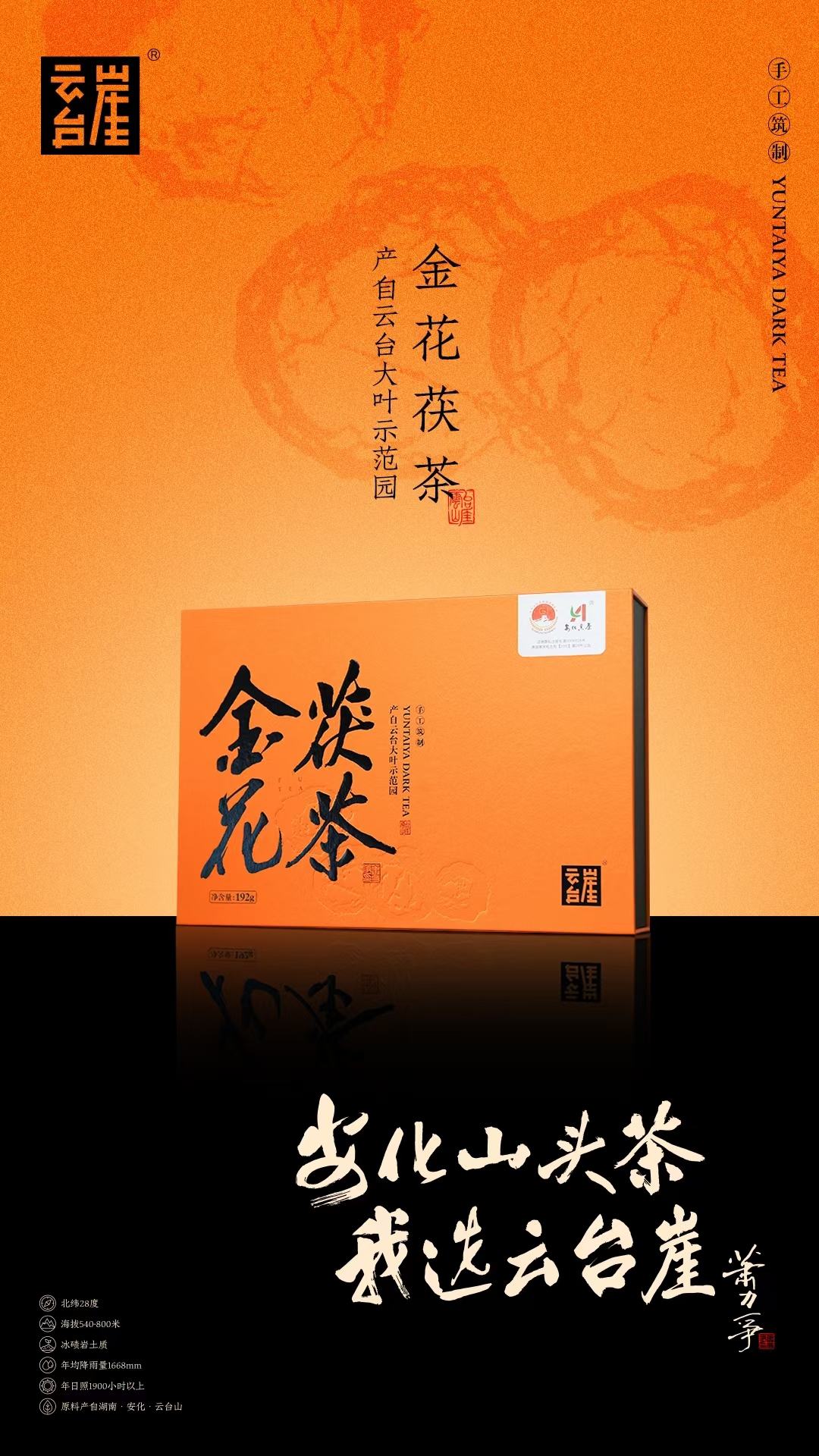 云台崖金花茯茶（192克）