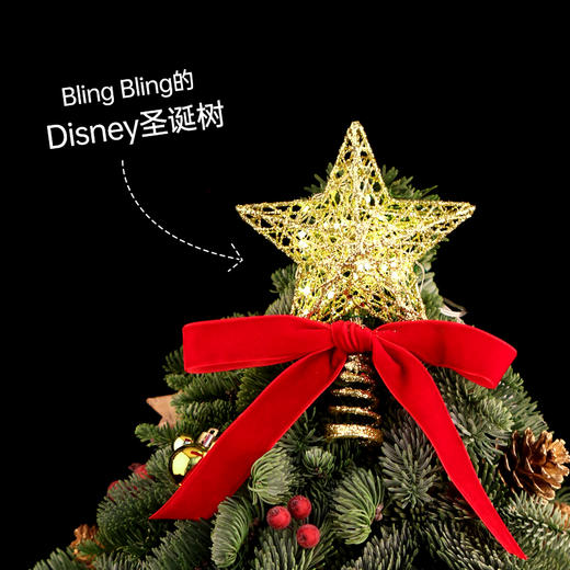 VBEINGS花语 圣诞礼物迪士尼进口诺贝松圣诞树鲜活松枝家居摆件 商品图3