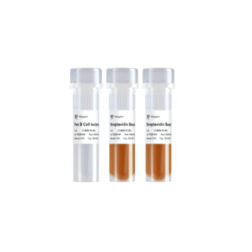 Mouse Pan B Cell Isolation Kit 商品图0