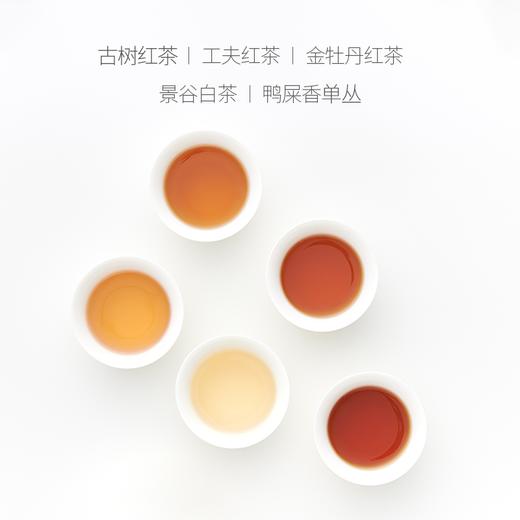 山田土 心选系列 红茶白茶乌龙茶五种口味混合装 商品图3
