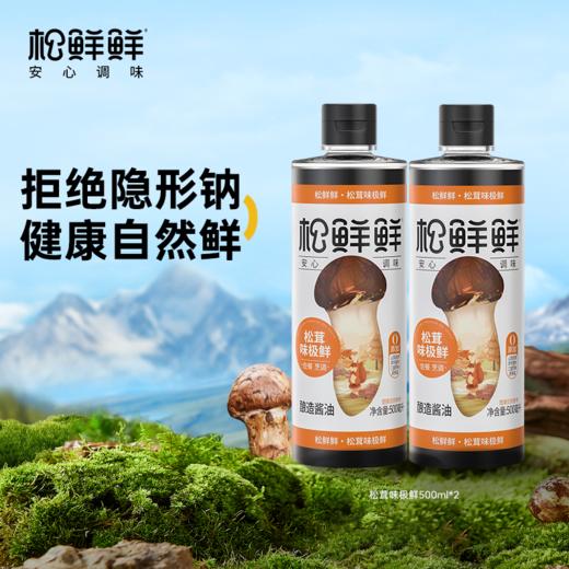 松鲜鲜-松茸味极鲜500ml*2 商品图0