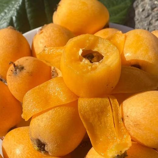 【果蔬精选】云南蜜露长虹枇杷 核心产区蒙自芷村天然水库果园生长 树上自然熟 30年老树结果 高山坡地套袋种植 不打农药 不催熟 肉厚纯甜 一口爆汁 商品图1