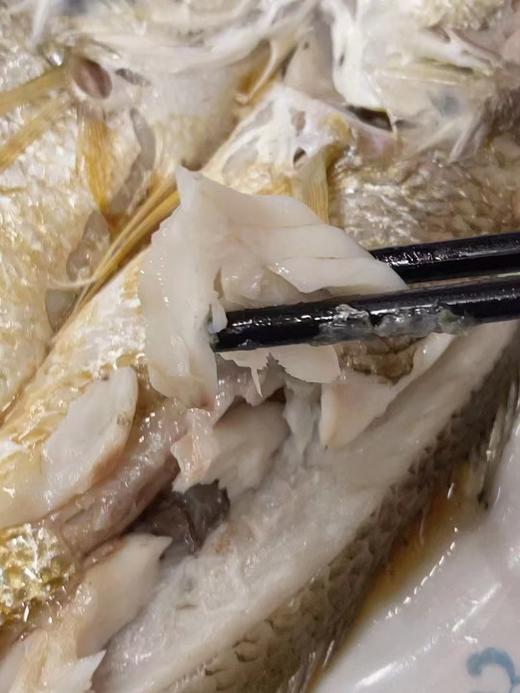 天然白花鱼 商品图1