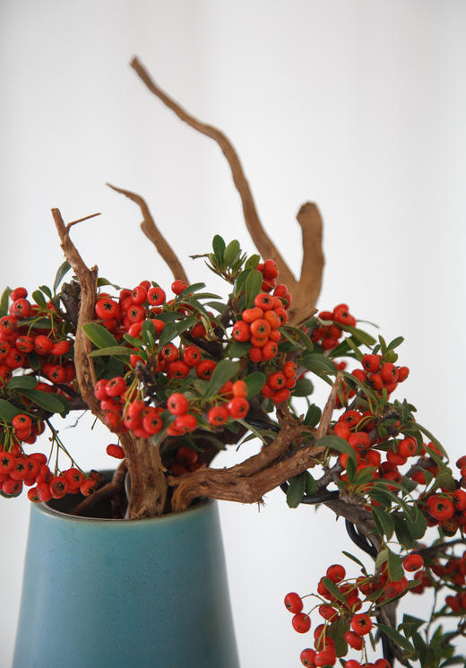 满堂红 商品图2