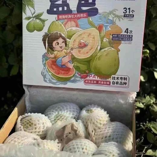 盐芭 商品图0