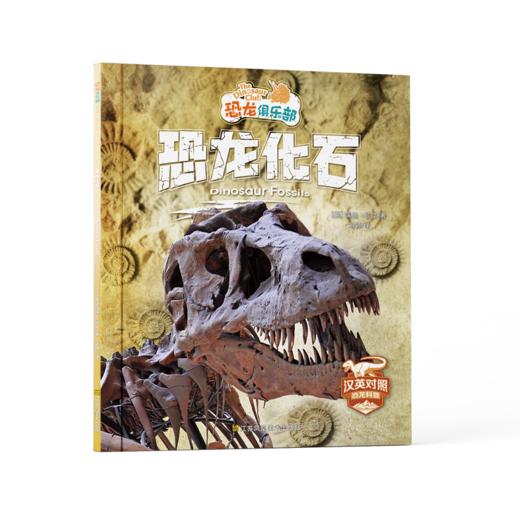 限时5折！《恐龙俱乐部：汉英对照》全10册   下单即送“卷毛”精美笔记本！ 商品图1