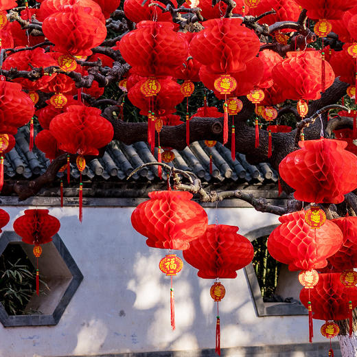 【秒杀❗️9.9抢🔥10个蛇年灯笼】满满氛围，财源滚滚，小挂饰2025新款户外布置国庆中秋大红纸蜂窝球门口装饰品新年春节 商品图4