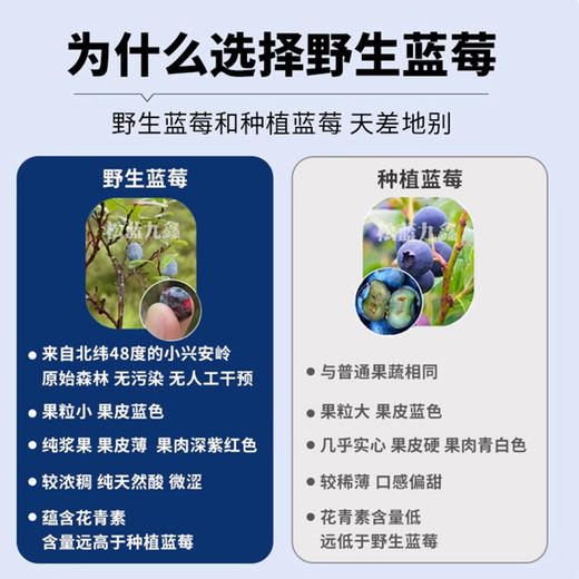 小兴安岭 NFC 有机野生蓝莓原浆 蔓越莓原浆 花青素宝库，开启健康活力新密码 商品图3