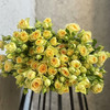 多头玫瑰.牛油果 商品缩略图0