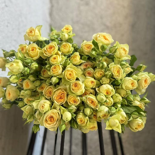 多头玫瑰.牛油果 商品图0