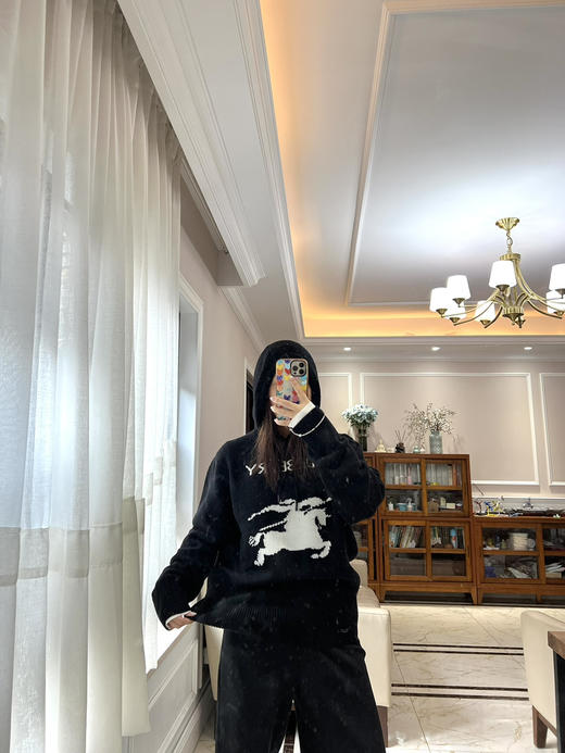 1218-3 独家圆正 BBR黑色羊毛羊绒 徽标字母 骑士战马 情侣款 连帽针织衫 商品图7