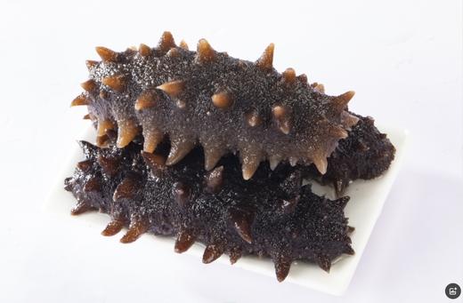 【双有机认证】大连自家海域上等即食海参，是用来做高档淡干海参的原料，全程无添加工艺结合低温熟化方式，4年自然生长周期，品质难得，肉质紧实，囗感弹中透滑糯，无异味，性价比极高，辽宁省内包邮 商品图4