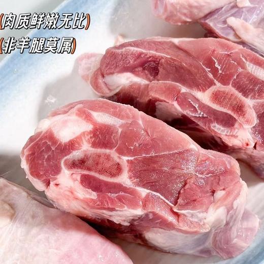 春凤额吉金标羊腿，内蒙草原散养，羔羊整体羊前腿，肉质紧实不肥腻，1.45KG/箱送韭菜花 商品图2