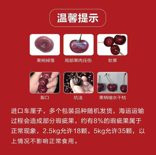 智利4JD Skeena车厘子 商品图7