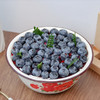 【一盆蓝莓】网红搪瓷盆浓郁蓝莓，一口吃下满满幸福感-蓝莓蛋糕 商品缩略图0
