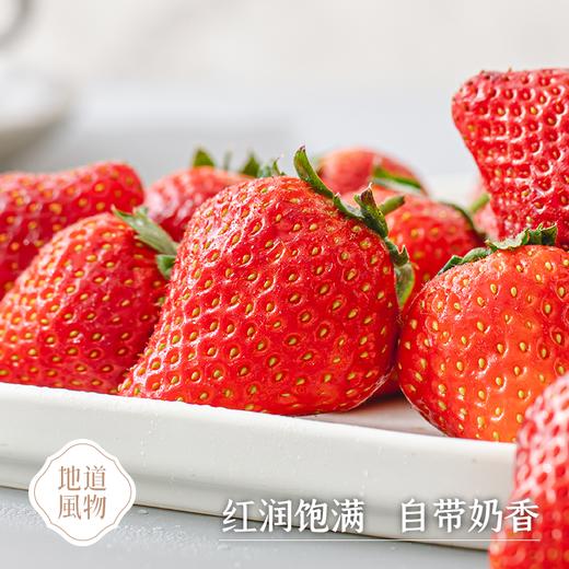 辽宁丹东  红颜九九草莓  多规格任选 商品图1
