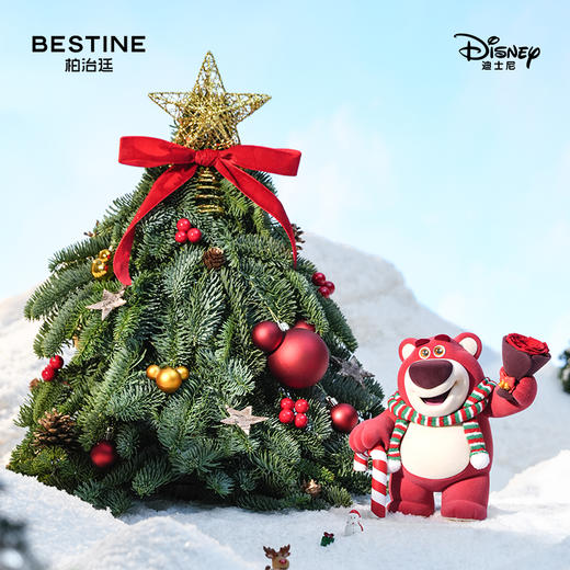 VBEINGS花语 『奇幻冬日』圣诞礼物迪士尼草莓熊花束永生花礼盒玫瑰花摆件生日礼物 商品图3