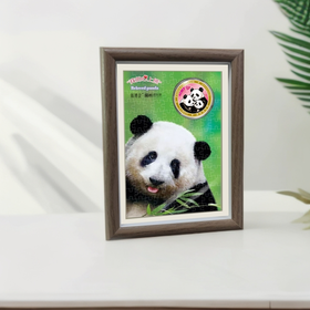 萌宝拼图乐·美香一家拼图·相框摆台