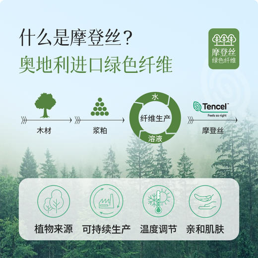 雅芳婷新款60S摩登丝床笠款四件套专柜同款高级轻奢真丝被套套件 商品图4