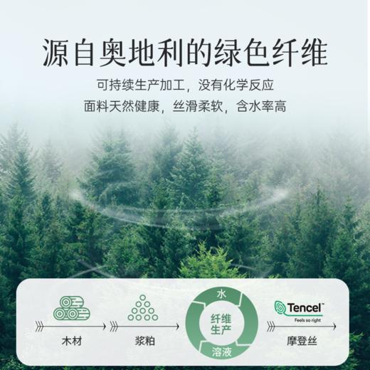 雅芳婷秋冬新款100S摩登丝床笠款六件套专柜同款四季通用真丝被套 商品图3