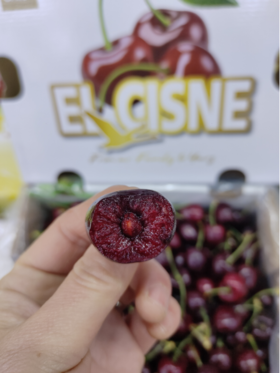 白箱2JD五斤车厘子一箱