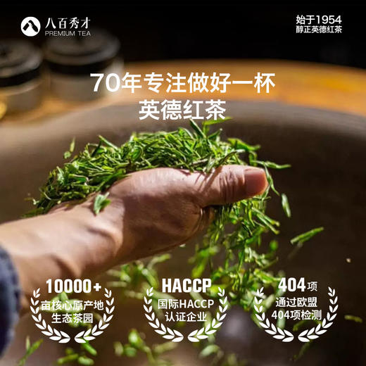 雅致英红九号礼盒160g-清货 商品图3